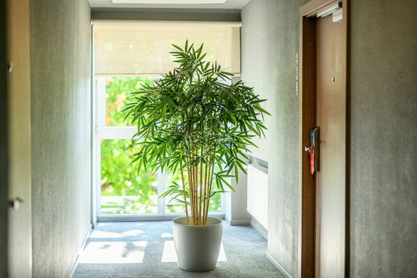 Foto: Viesnīca "Līva"