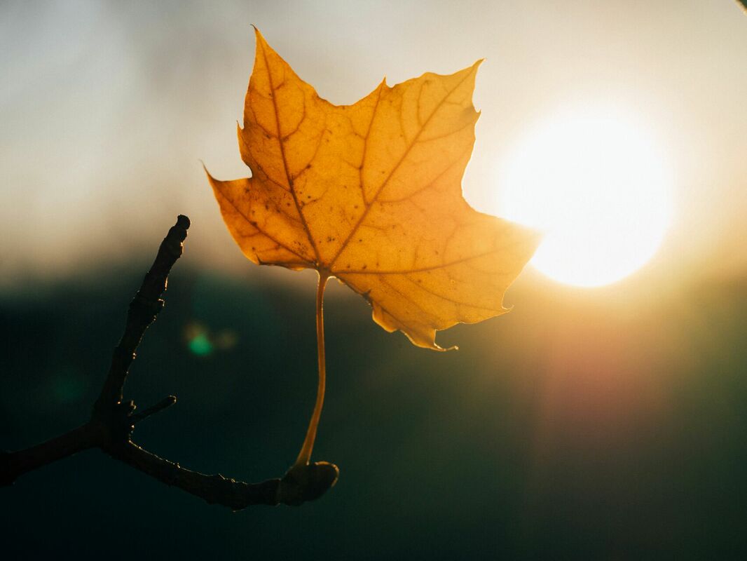 Foto: Unsplash