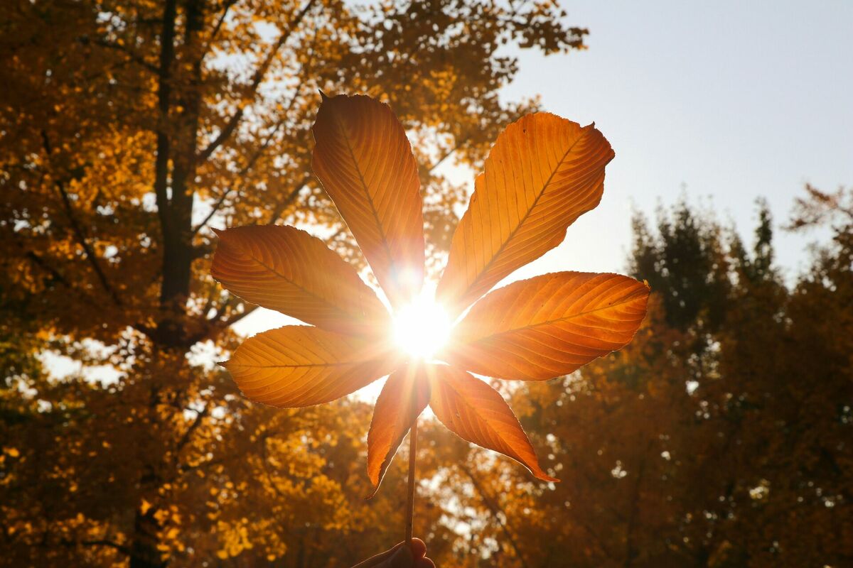 Foto: Unsplash