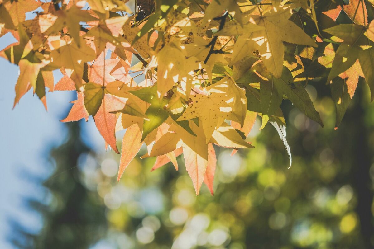 Foto: Unsplash