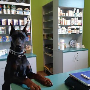 Mika Veterinārā aptieka, veterinārā klīnika un dzīvnieku frizētava, SIA Mad Mik Vet