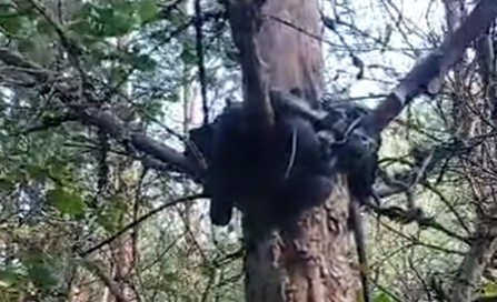 Foto: Ekrānuzņēmums no video