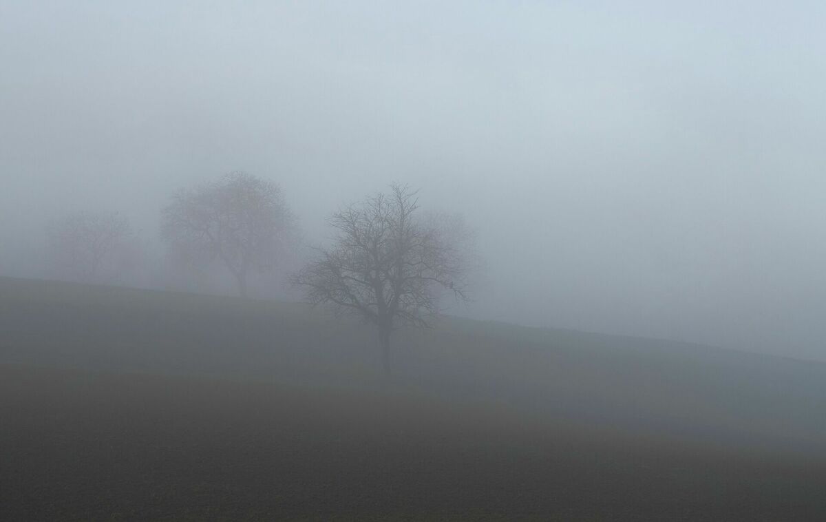 Foto: Unsplash