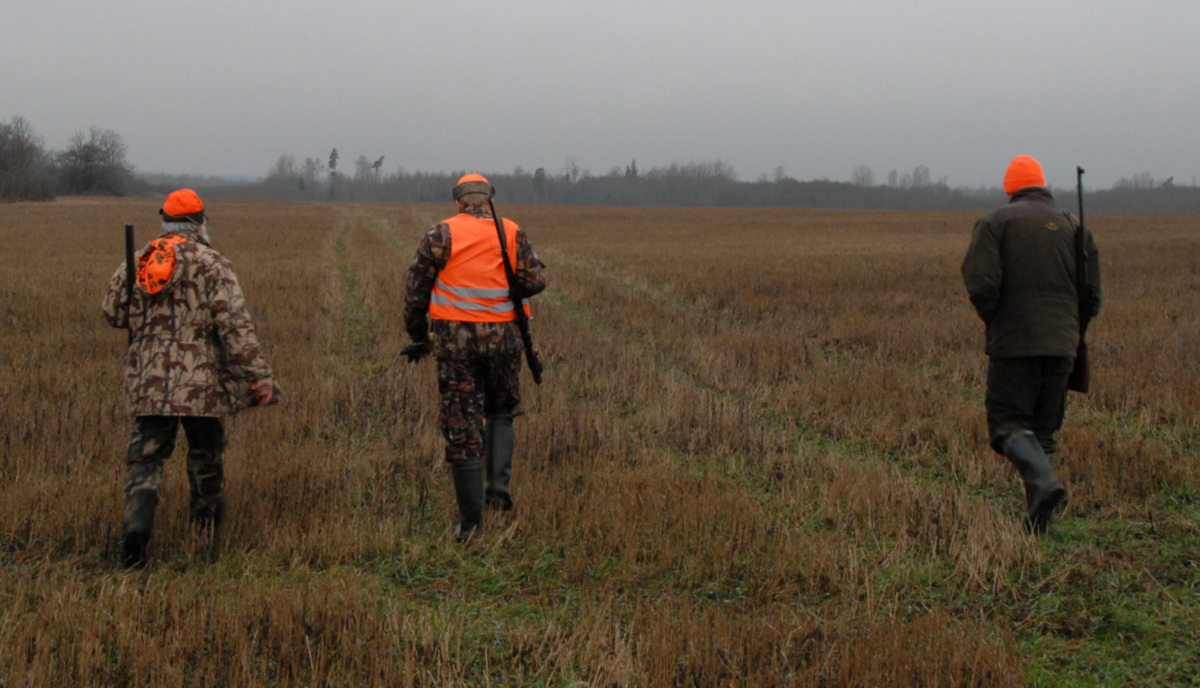 Foto: Valsts meža dienests