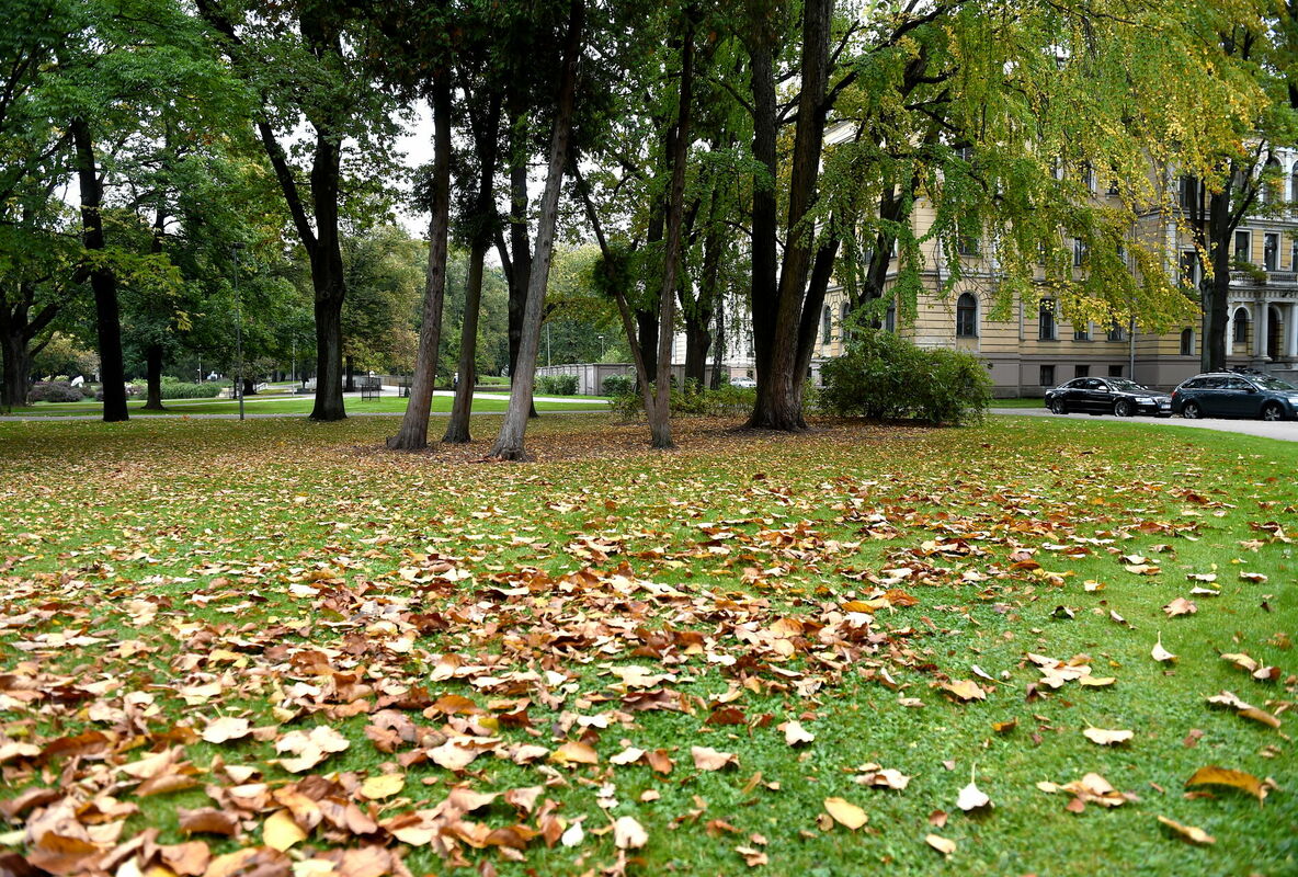 Rudenīgi laikapstākļi. Foto: LETA
