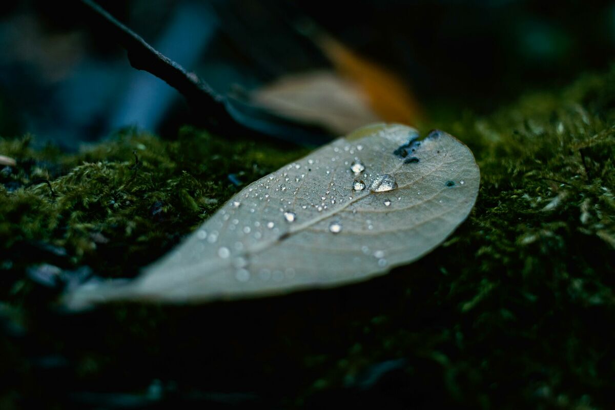 Foto: Unsplash