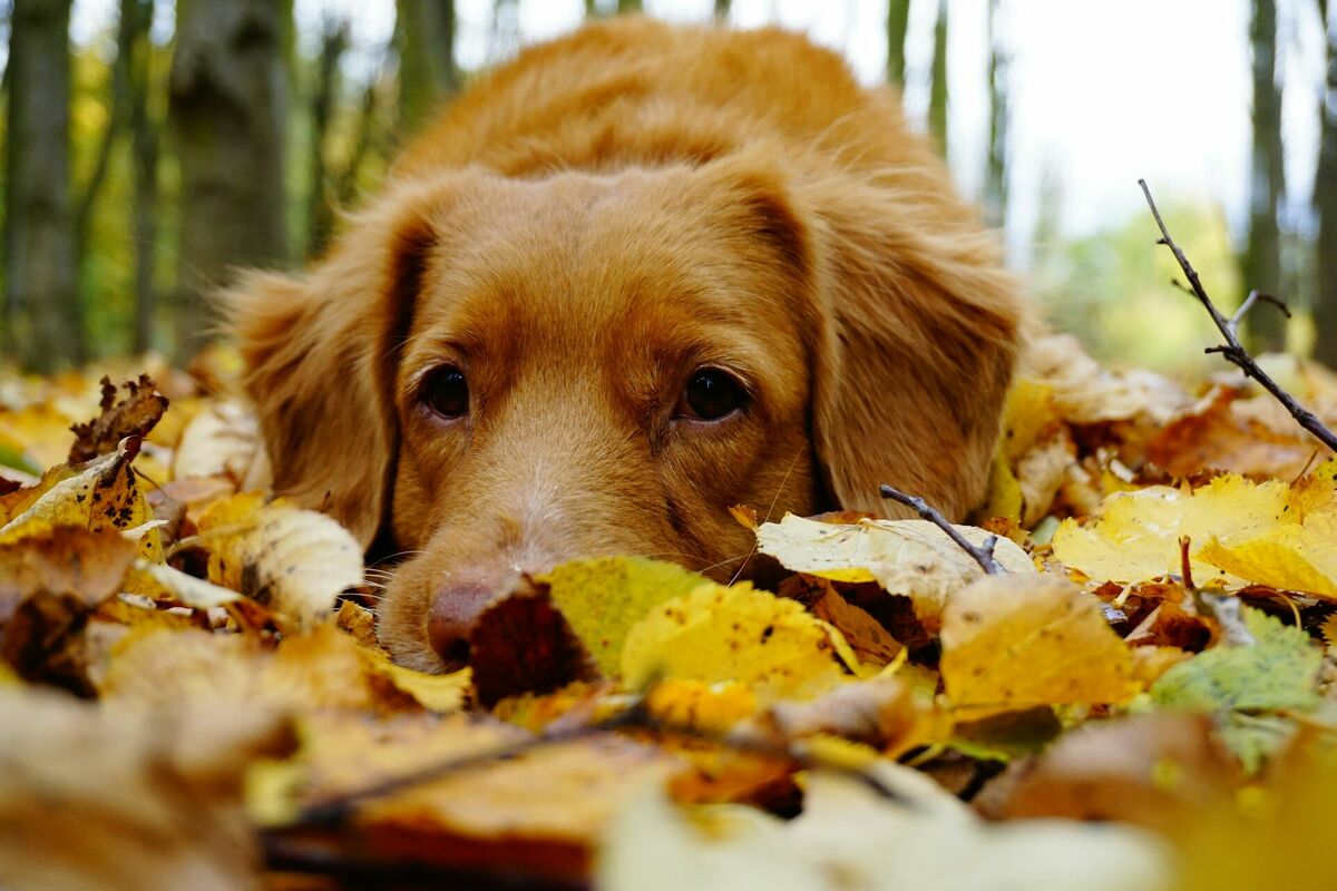 Foto: Unsplash