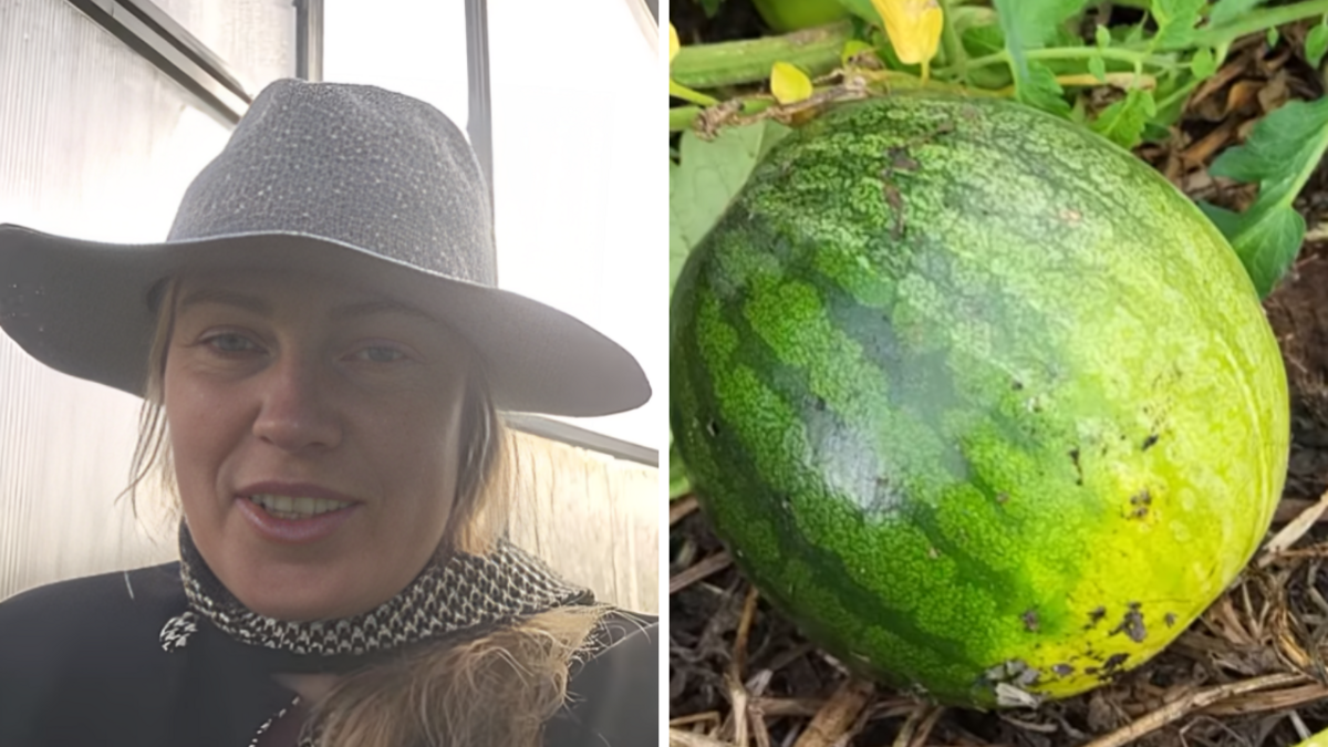 Foto: ekrānuzņēmums no magone.burka/ Instagram