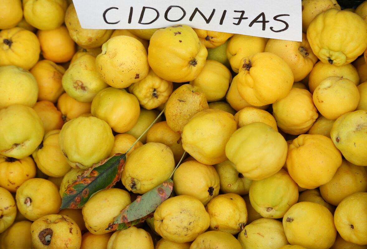 Foto: Evija Trifanova/ LETA