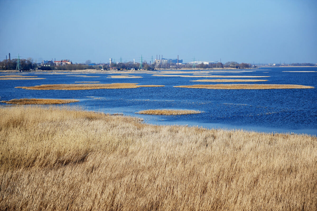 Liepājas ezers. Foto: Ieva Lūka/LETA