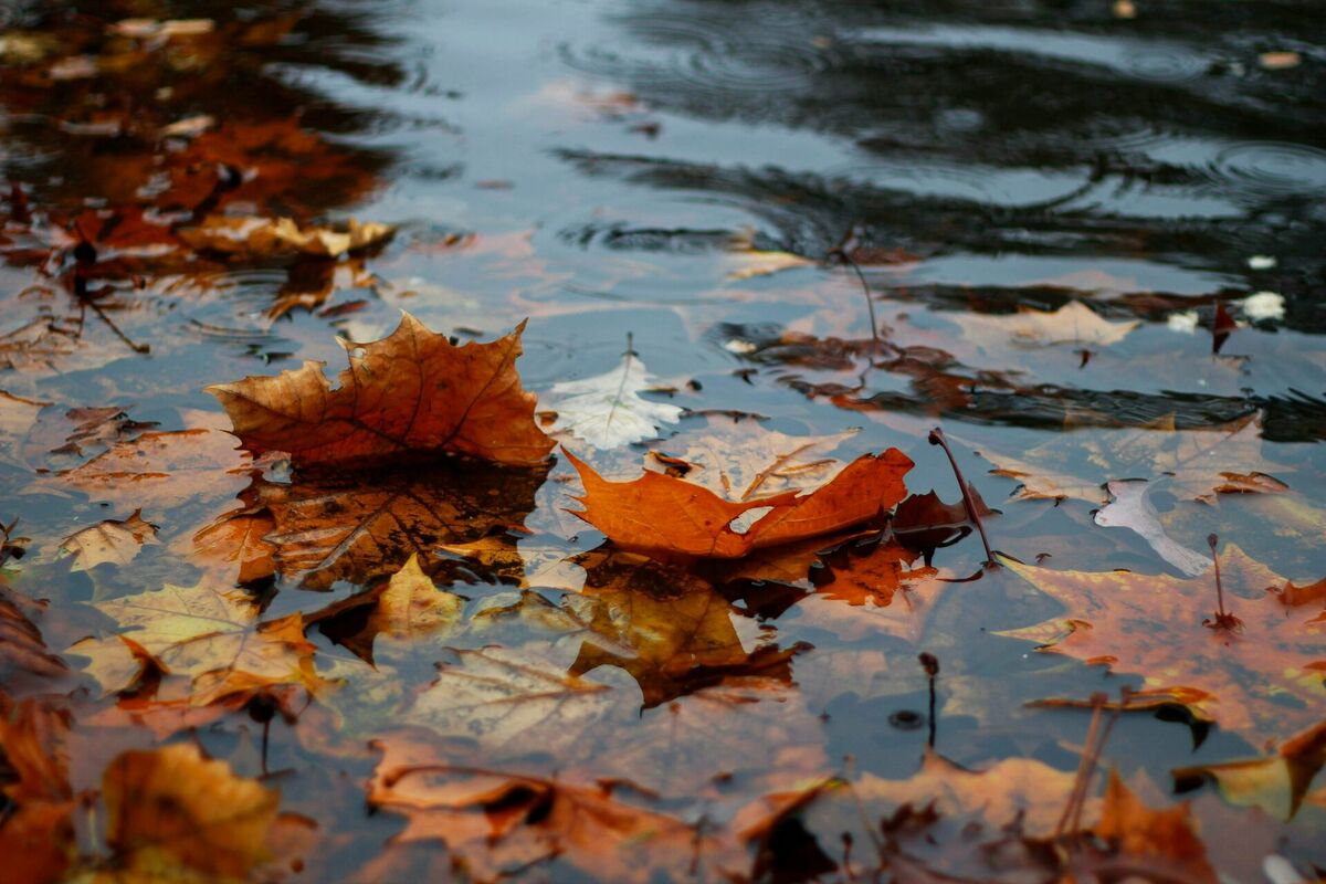 Foto: Unsplash