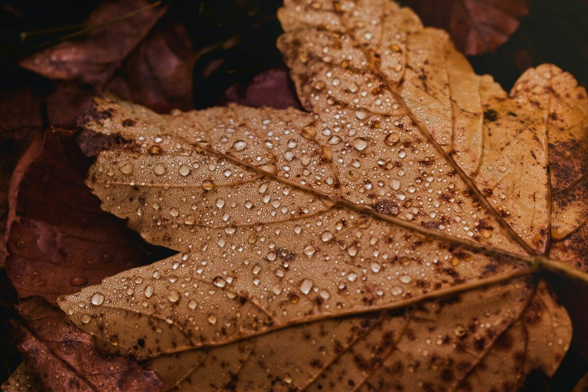 Foto: Unsplash
