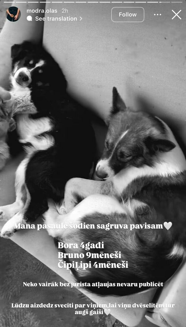 Foto: @modra.olas/Instagram