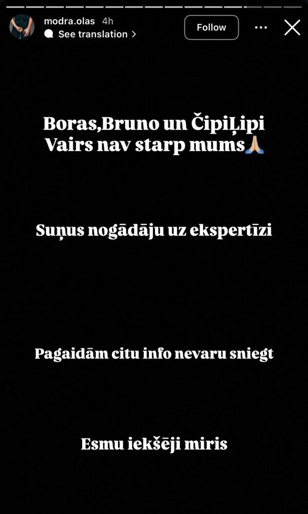 Foto: @modra.olas/Instagram