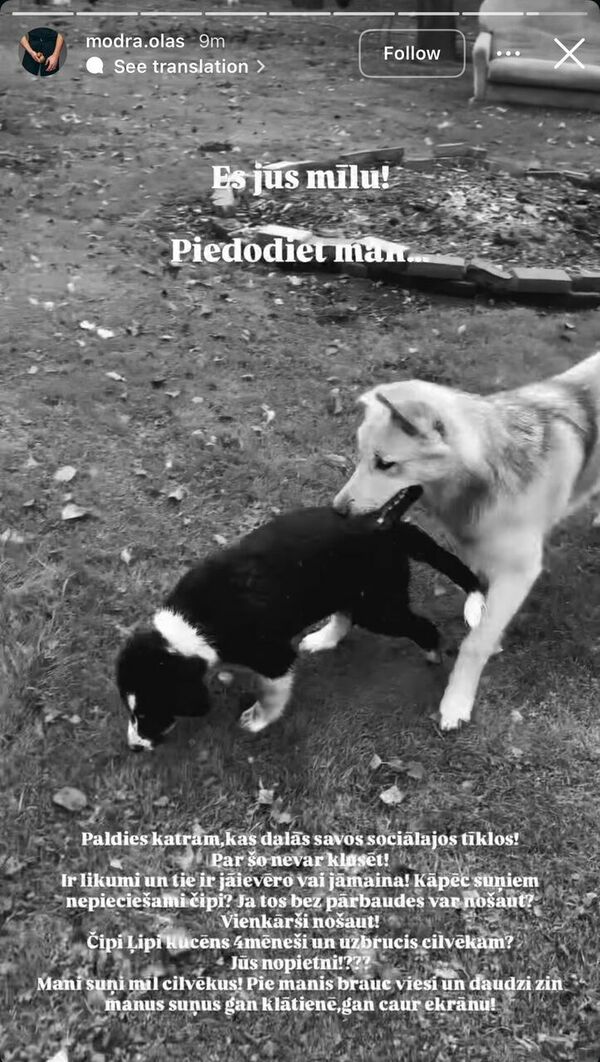 Foto: @modra.olas/Instagram