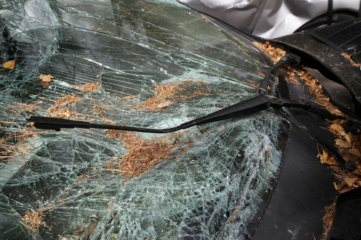 Foto: Evija Trifanova/ LETA