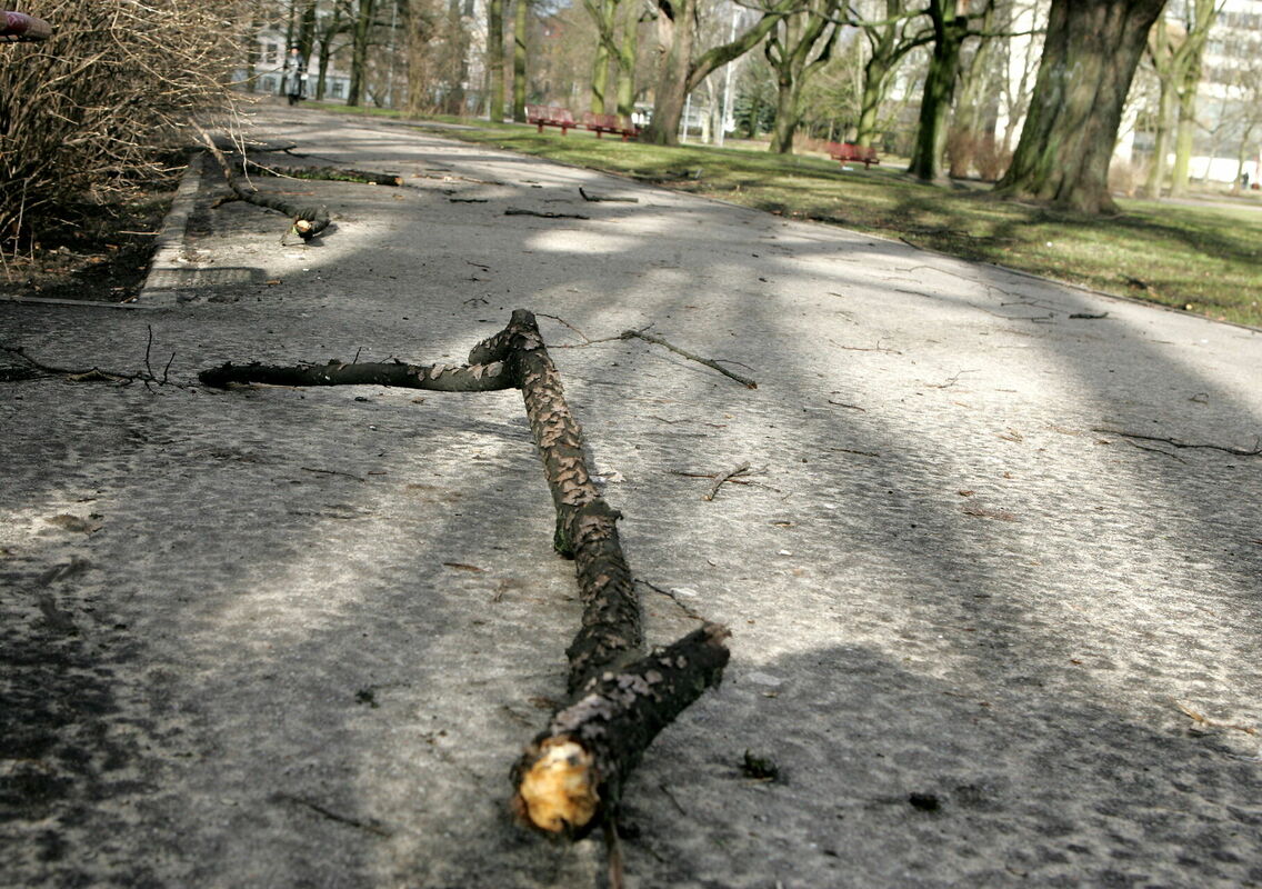 Ilustratīvs attēls. Foto: Ieva Čīka/ LETA