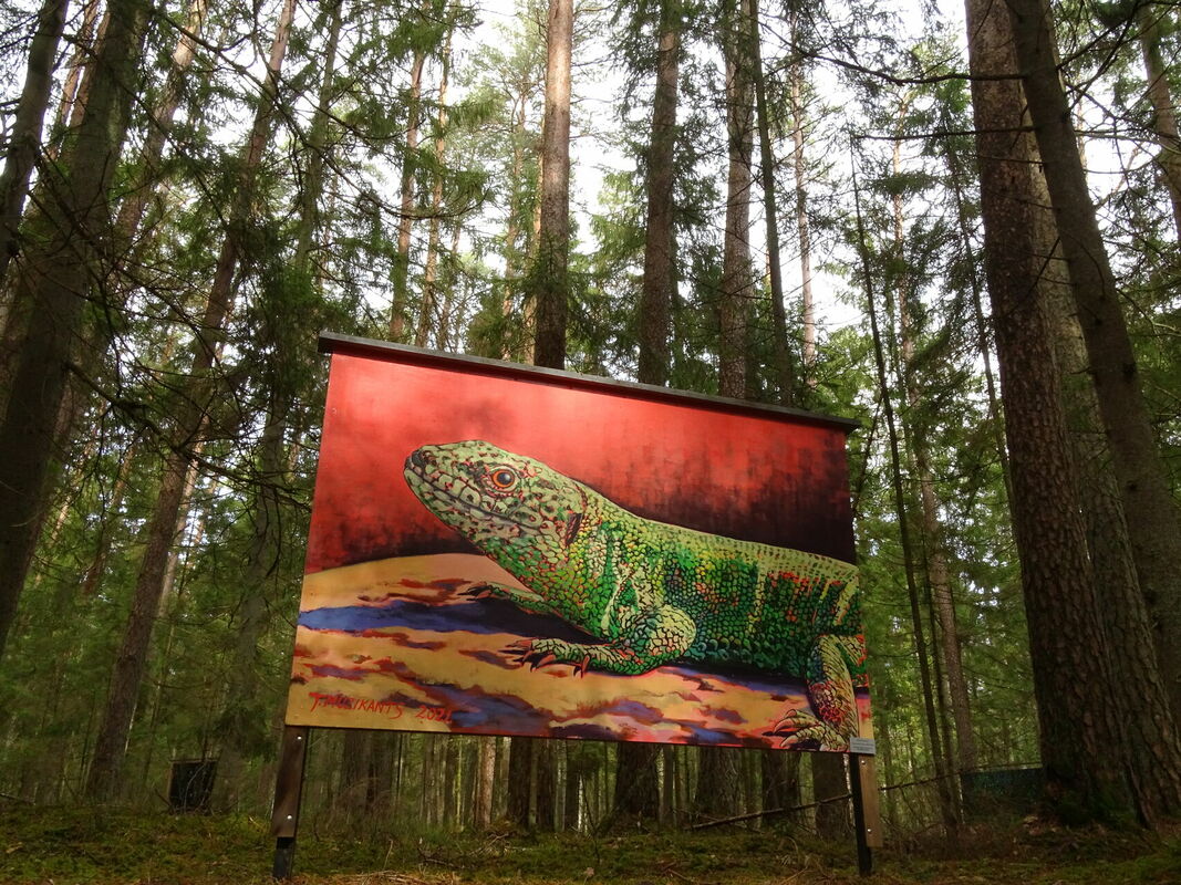 Baldones Meža galerija. Foto: Ķekavas novads