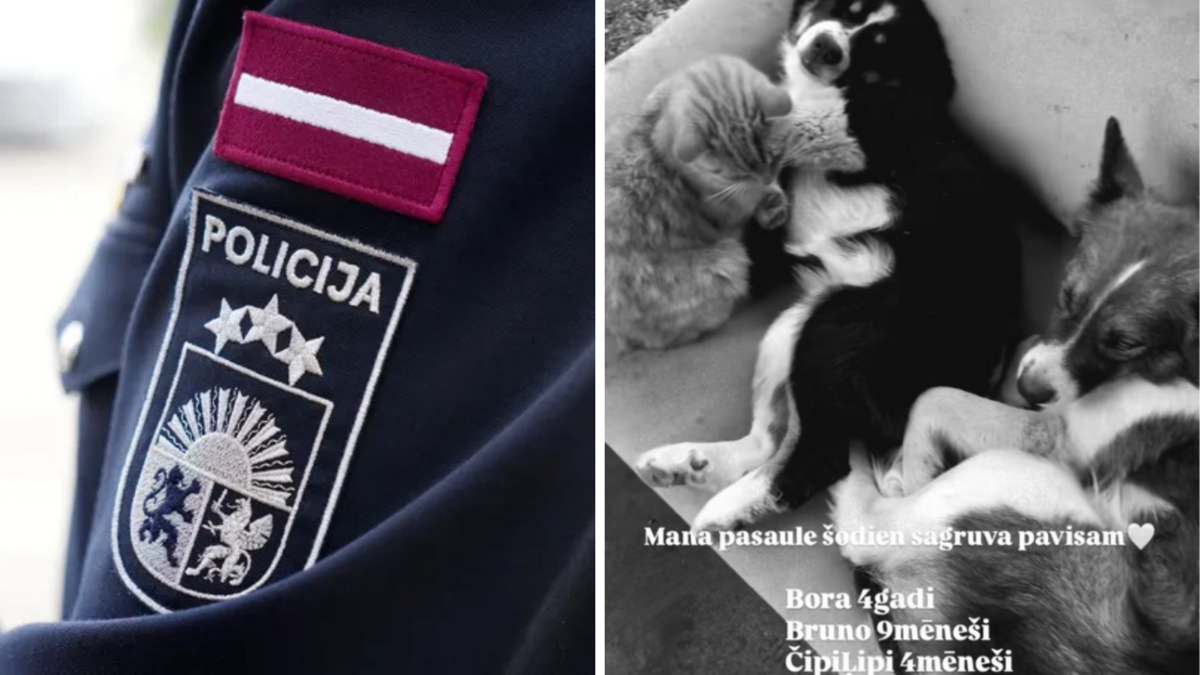 Foto: LETA/@modra.olas/Instagram