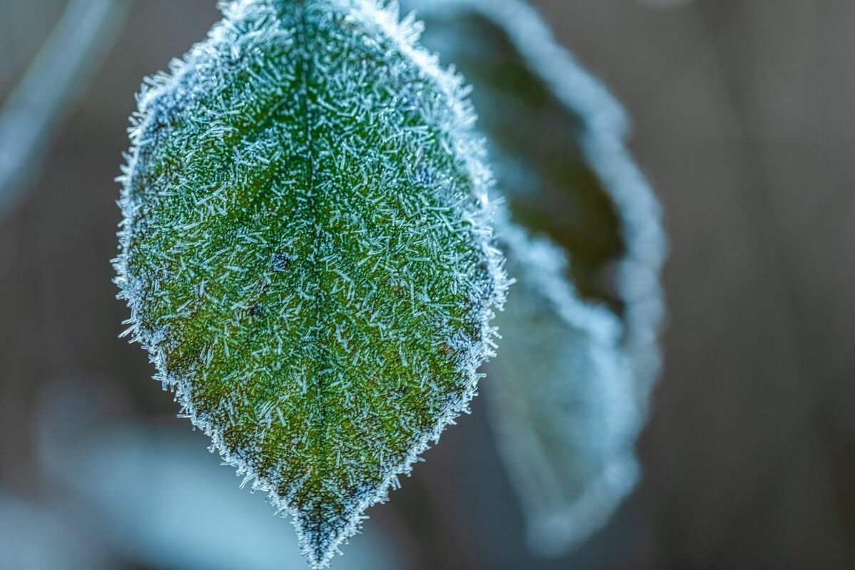 Foto: Unsplash