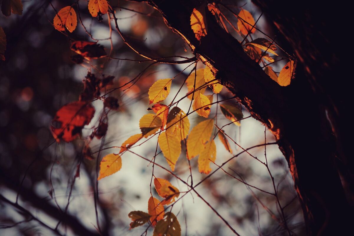 Foto: Unsplash