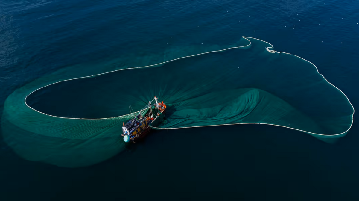 Foto: Latvijas Investīciju un attīstības aģentūra