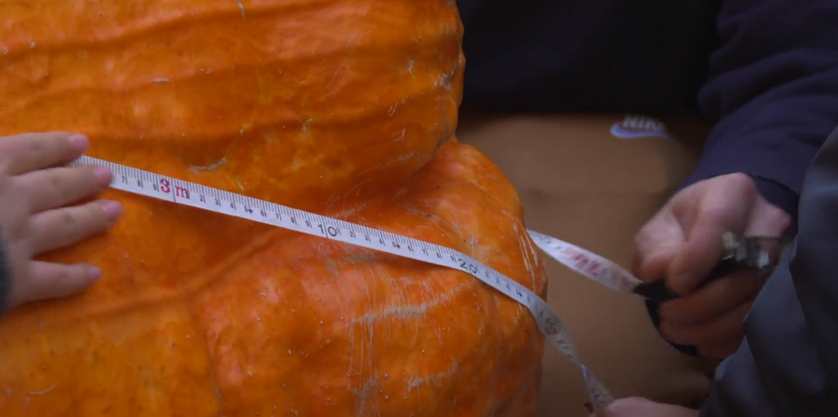 Foto: Ekrānuzņēmums no sižeta