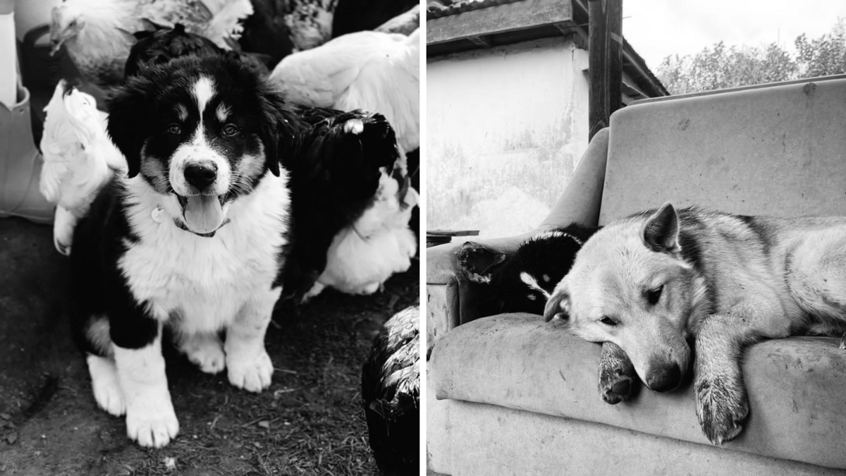 Foto: modra.olas/ Instagram