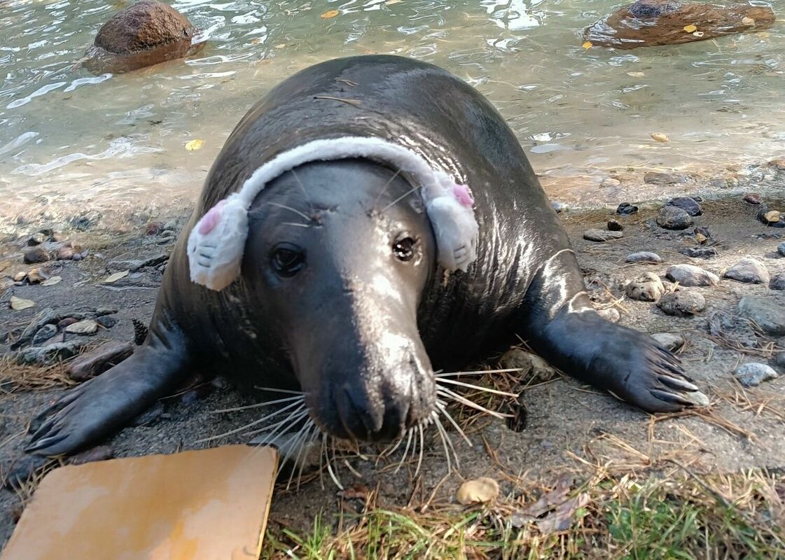 Foto: Rīgas Zoodārzs