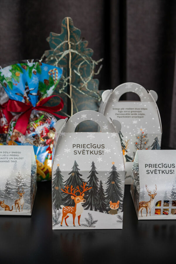 Foto: Bērnu saldumu paciņas pepedavanas.lv. Fotogrāfe: Anete Zartika