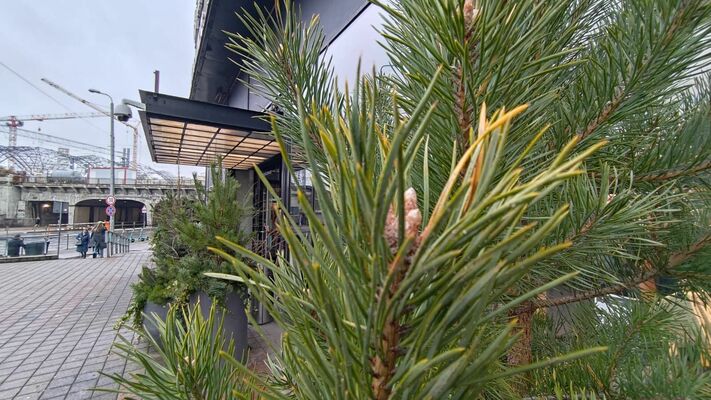 Foto: 1188.lv redakcija