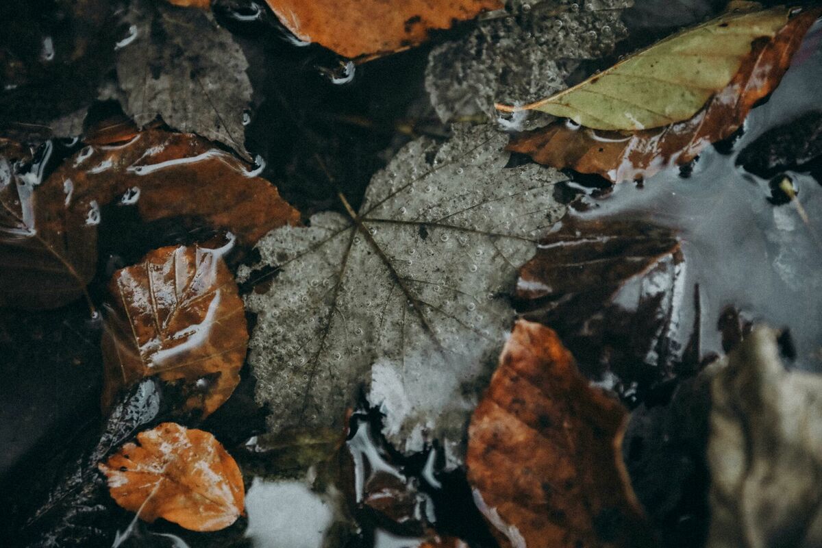 Foto: Pexels