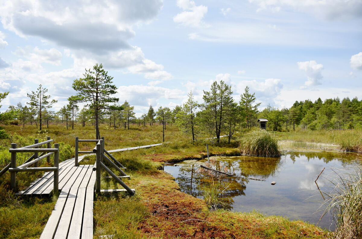 Ķemeru nacionālais parks. Foto: LETA