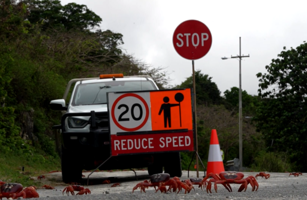 Foto: Ekrānuzņēmums no video