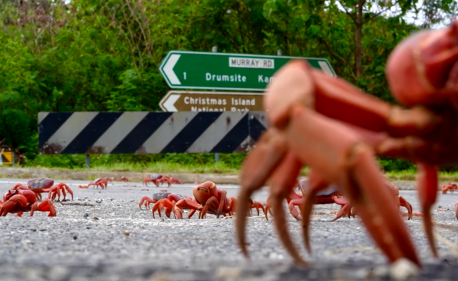 Foto: Ekrānuzņēmums no video