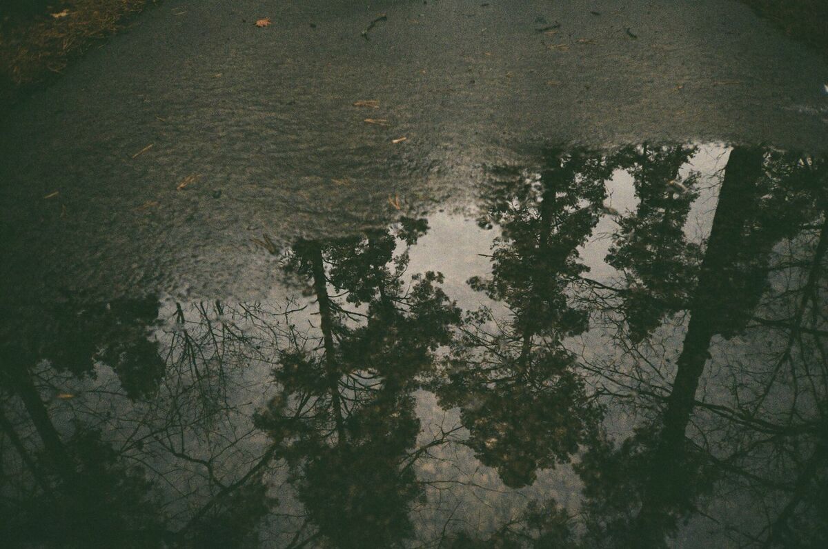 Foto: Pexels