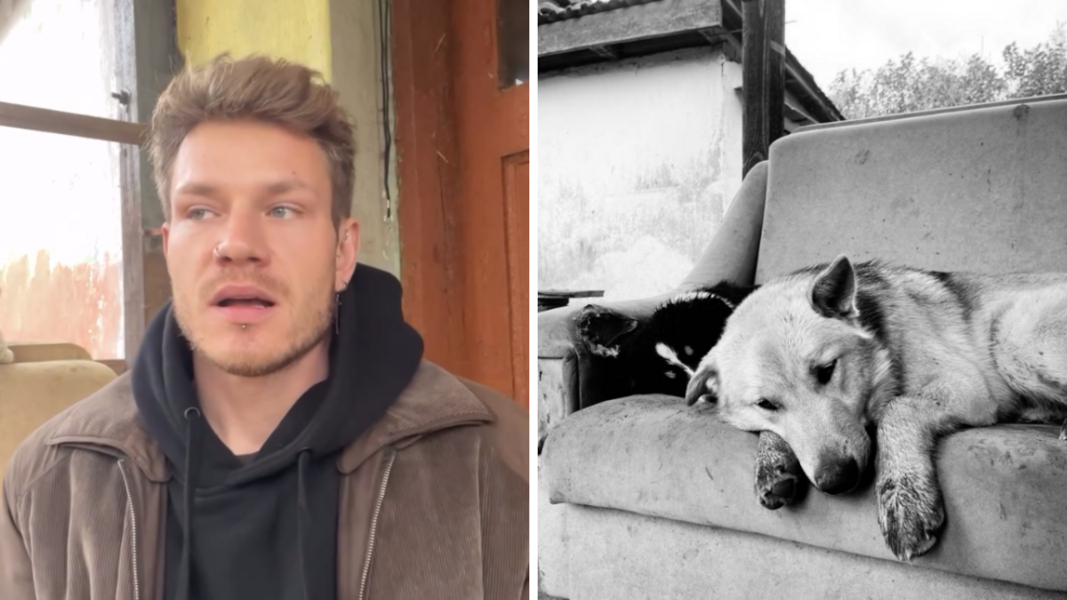 Modris Konovalovs un viņa suņi, kas tika nogalināti. Foto: @modra.olas/Instagram
