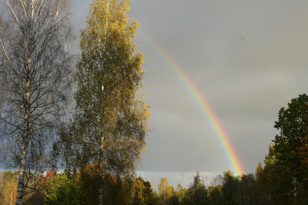 Rudens ainava ar varavīksni. Foto: Evija Trifanova/LETA