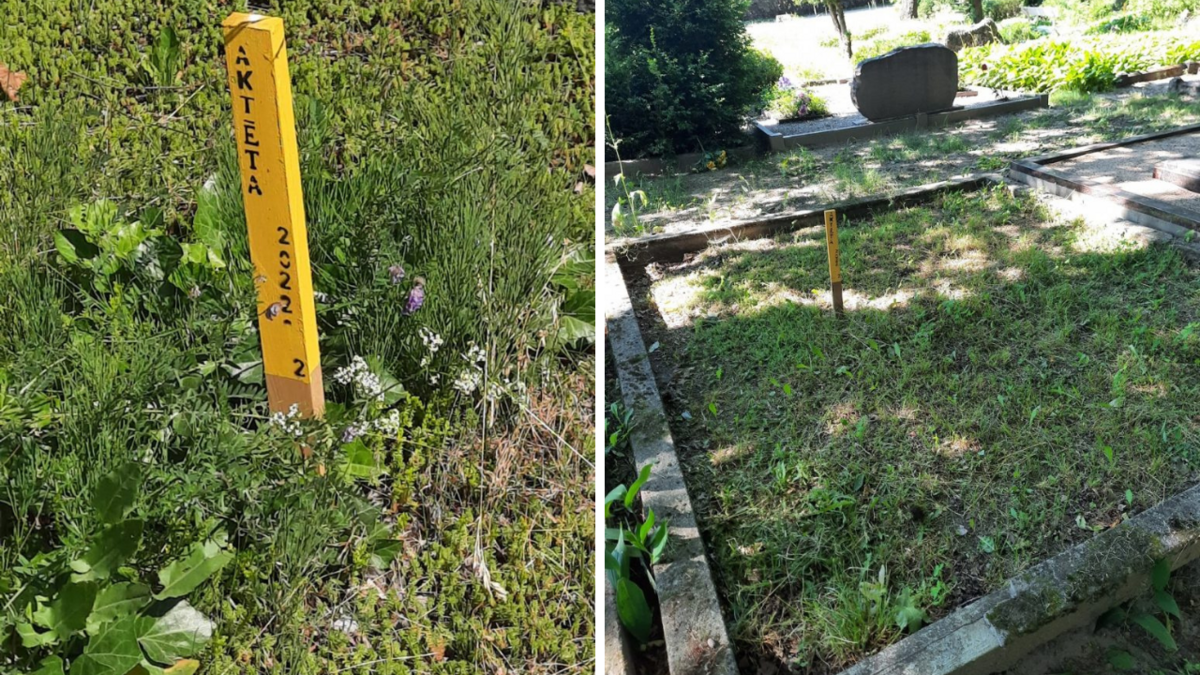 Foto: Jelgavas valstspilsētas pašvaldība