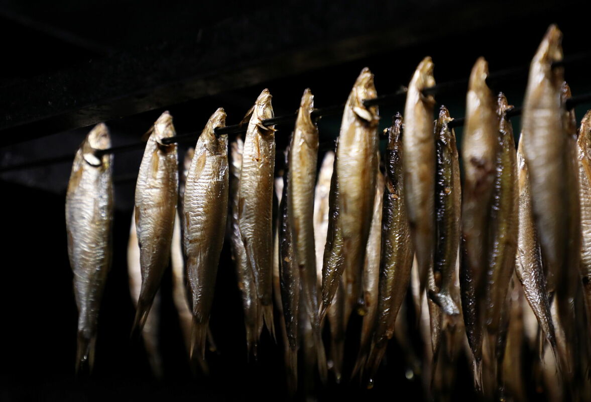 Foto: Evija Trifanova/LETA