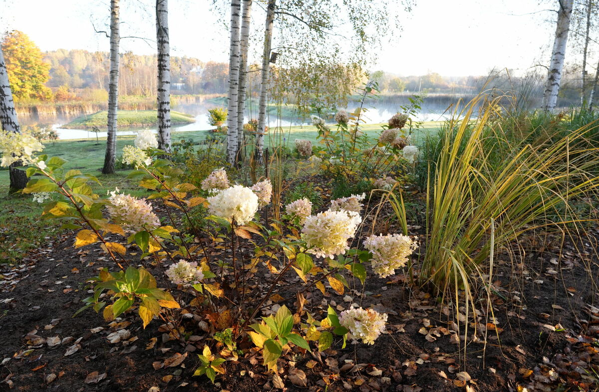 Foto: Evija Trifanova/LETA