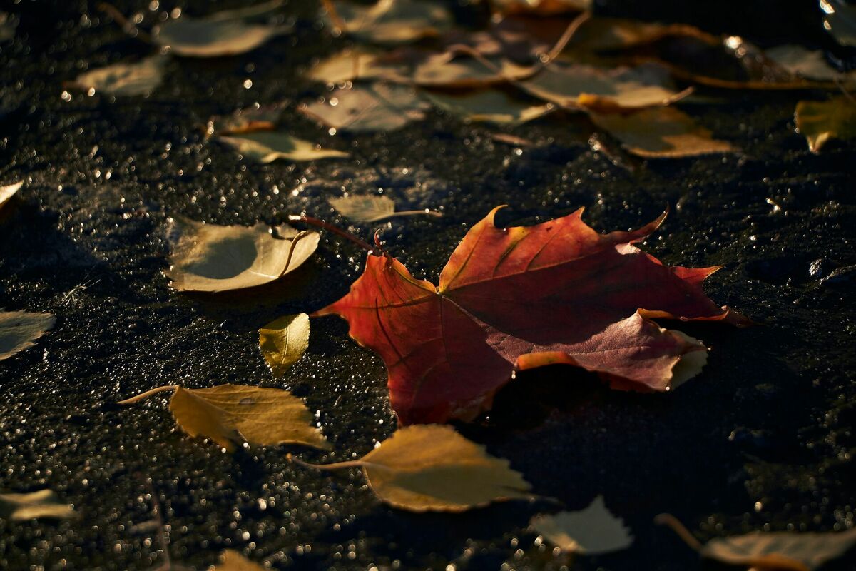 Foto: Unsplash