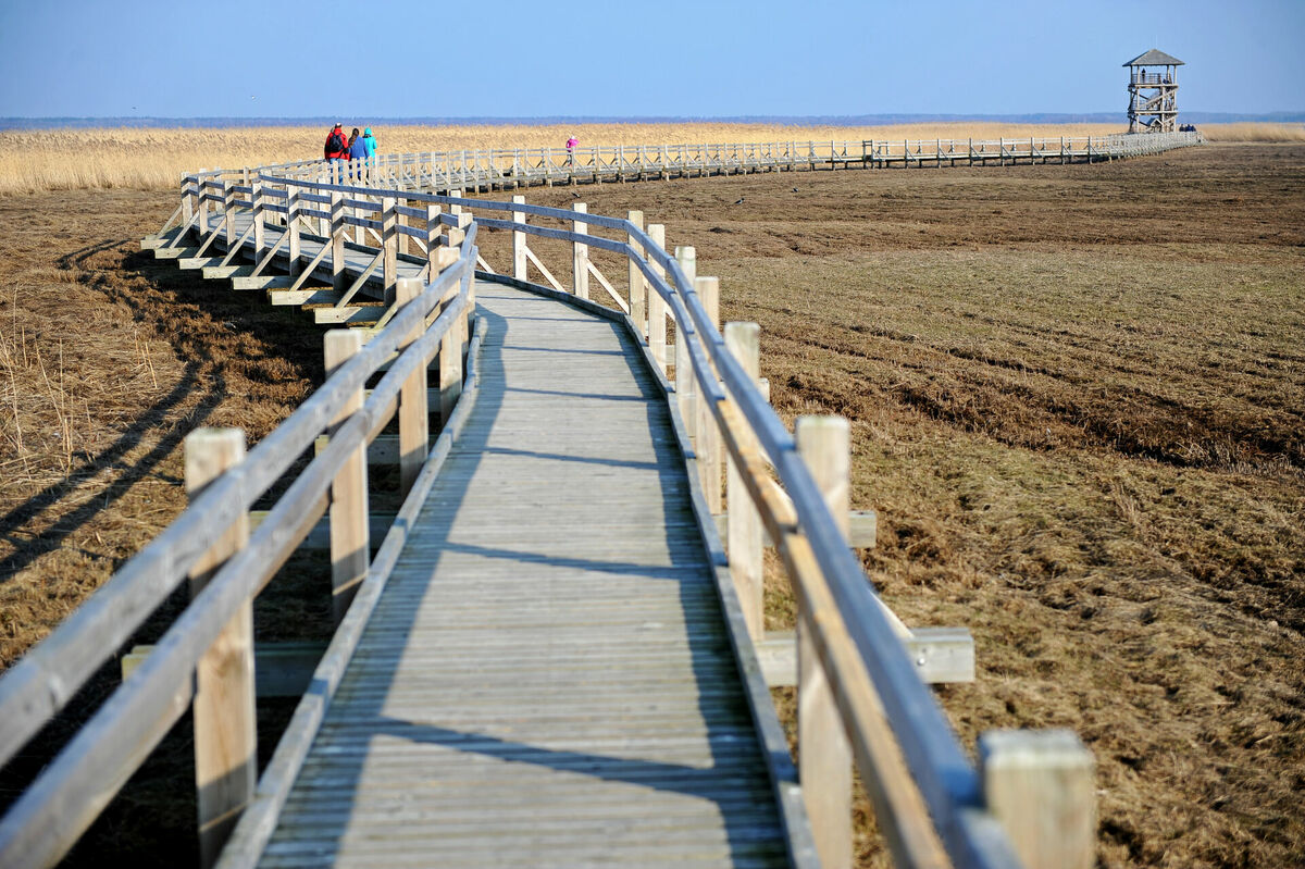 Liepājas ezers. Foto: Ieva Lūka/LETA