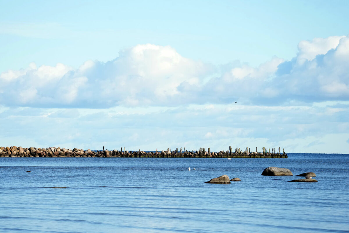 Foto: Edijs Pālens/LETA