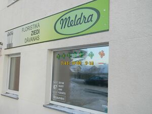 Meldra, Floristika, ziedi, dāvanas