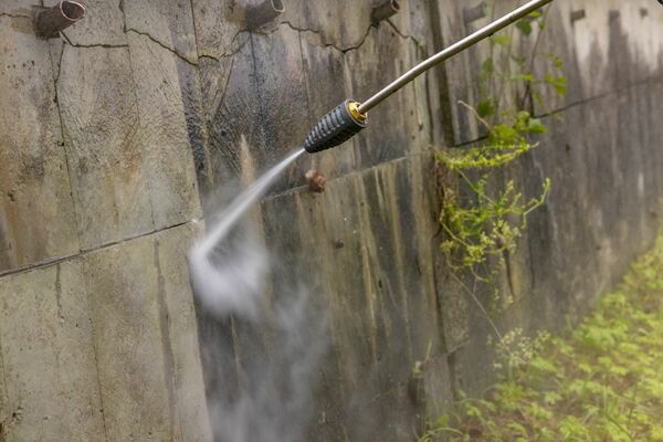 Foto: "Facebook"/Restorāns "Sēnīte"