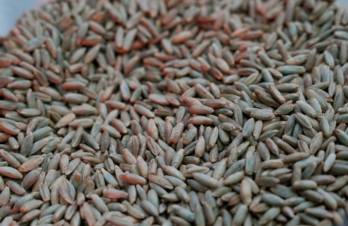 Foto: Evija Trifanova/LETA