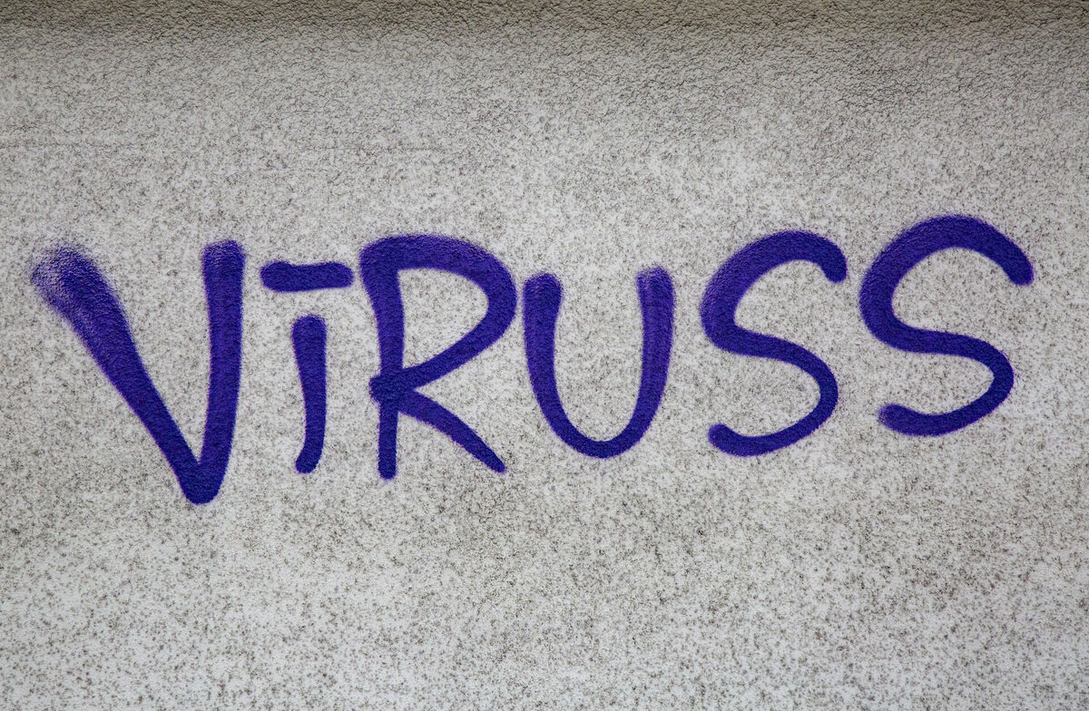 Foto: Edijs Pālens/LETA