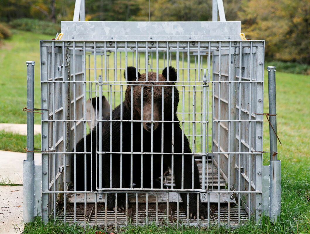 Foto: REUTERS/Sakura Murakami/Scanpix