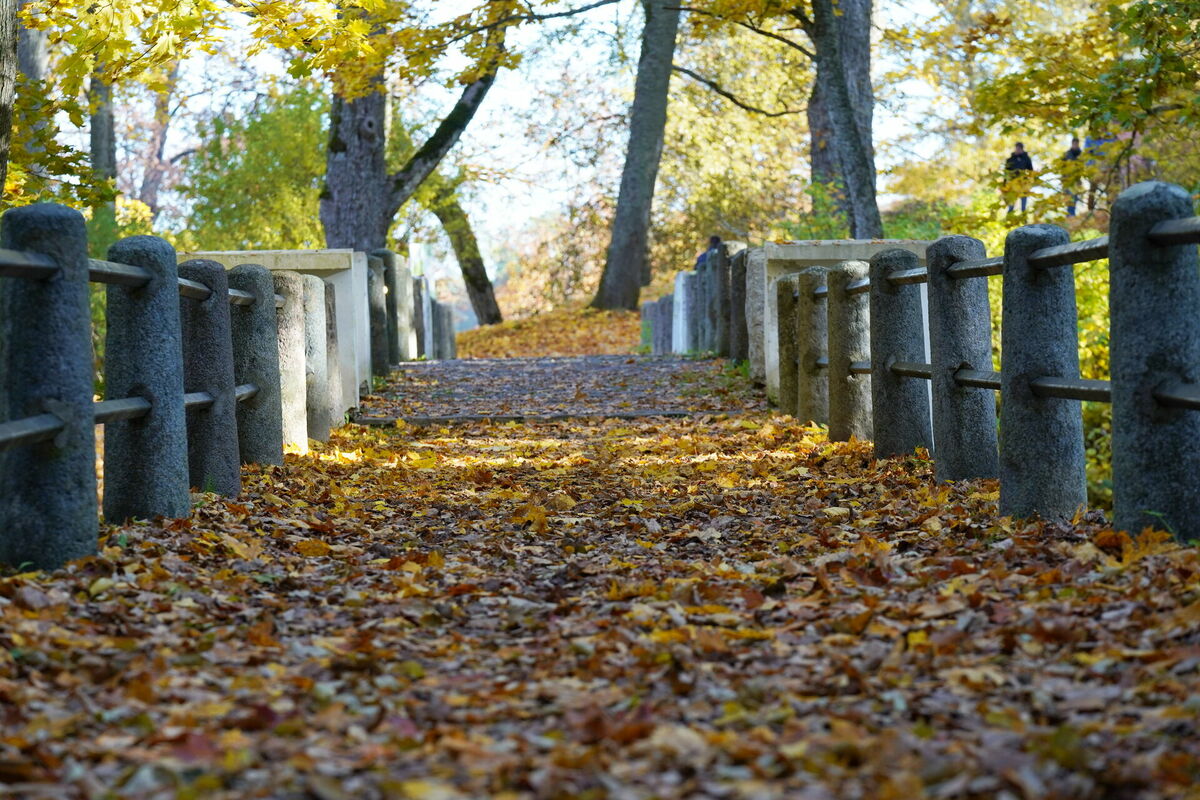 Foto: Evija Trifanova/ LETA